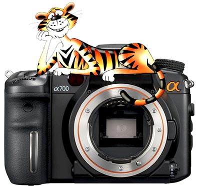 fotokonkurs_2009.jpg